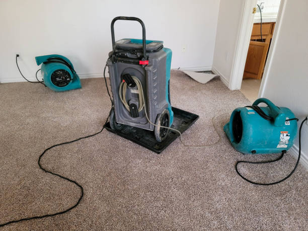 Best Fire Damage Restoration  in Kenner, LA