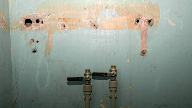Best Sewage cleanup and water damage restoration  in Kenner, LA