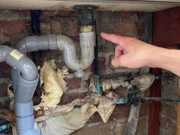 Best Local water damage restoration  in Kenner, LA